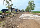 Talud TMMD Sragen Kokoh, Jalan Desa Aman dari Longsor