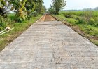 TMMD Kodim Sragen Kebut Pengecoran Jalan, Progres Tembus 50 Persen di Desa Puro