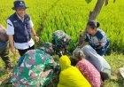 500 Pohon Buah Hiasi Desa Pelemgadung, TMMD Tebar Harapan Hijau