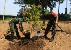 Bibit Durian TMMD Sragen, Dandim: Harapan Hijau untuk Masa Depan Warga